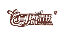 战略投资指导